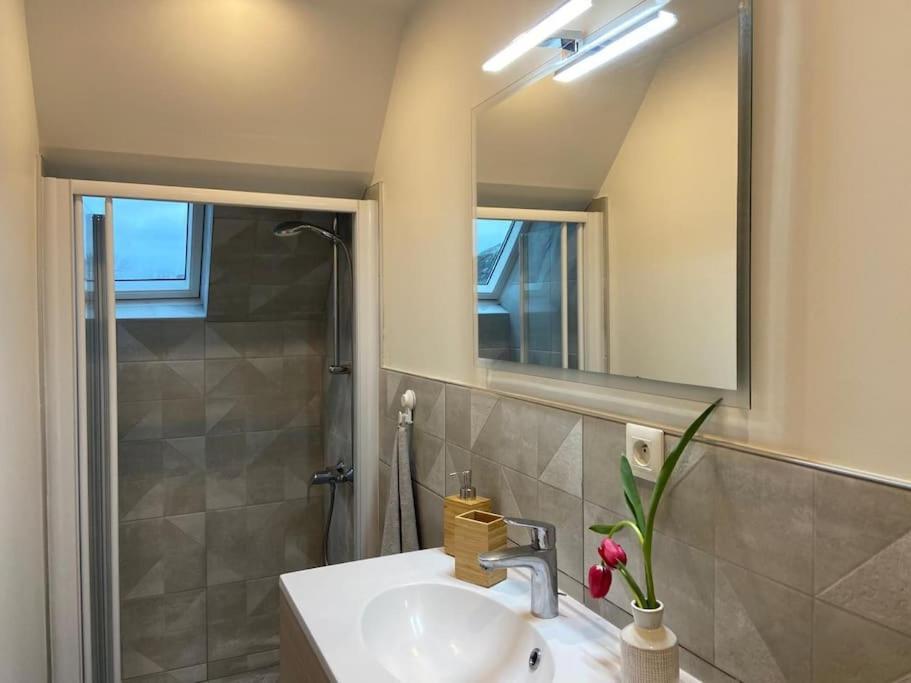 Cocon Au Calme En Hyper Centre Apartment ชาโต-เรอโนลต์ ภายนอก รูปภาพ